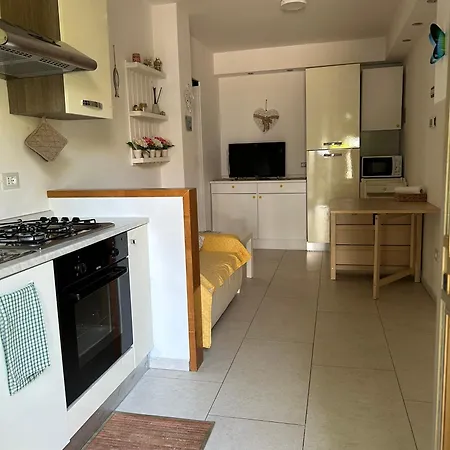 Piano Terra Vicino Appartamento